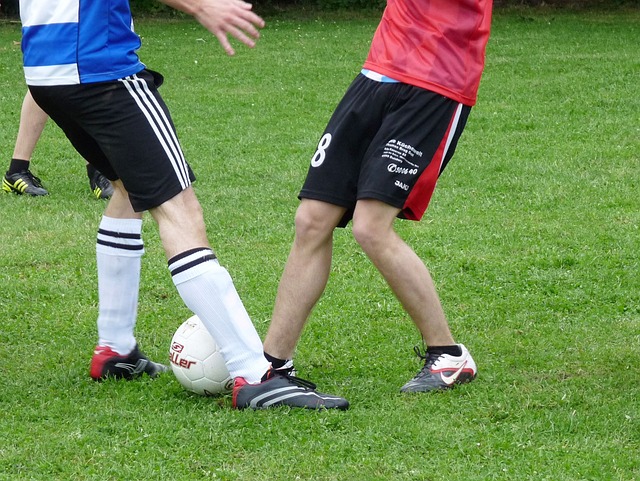 跨学科的合 跨学科的合