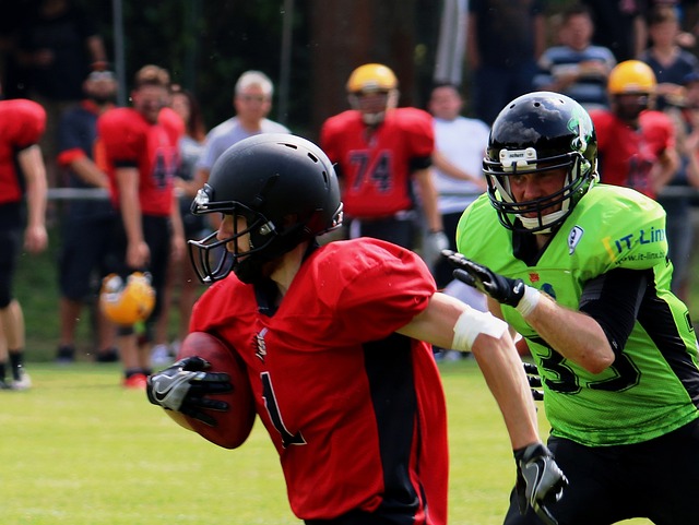 获得了胜利 获得了胜利