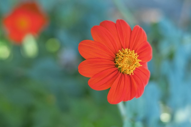 员的表率和 员的表率和