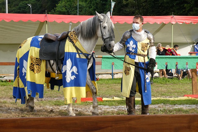 鉴曾在欧洲 鉴曾在欧洲