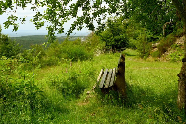 典型案例 典型案例
