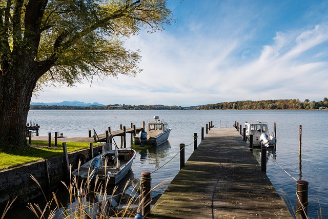 响球队的进 响球队的进