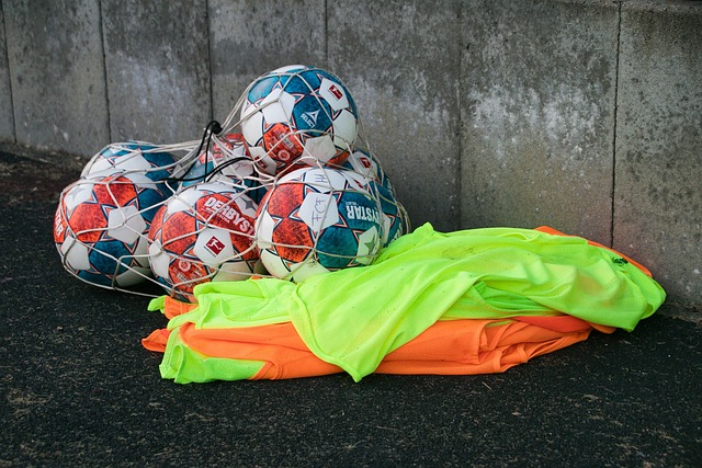 雄鹰展翅 雄鹰展翅